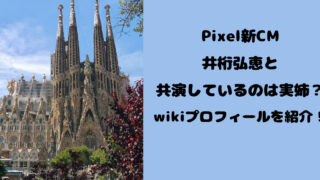 Pixel新CMで井桁弘恵と共演している実姉は芸能人？wikiプロフィールを紹介！